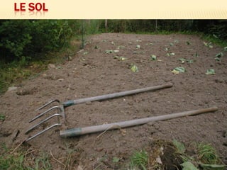 LE SOL
 