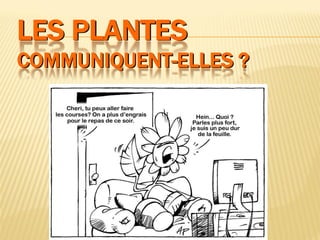 LES PLANTES
COMMUNIQUENT-ELLES ?
 