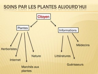 SOINS PAR LES PLANTES AUJOURD’HUI
Citoyen
Plantes
Informations
Herboristes
Nature
Marchés aux
plantes
Internet
Littératures
Médecins
Guérisseurs
 