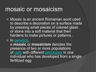 mosaic or mosaicism
 Mosaic is an ancient Romanian word used
to describe a decoration on a surface made
by pressing small pieces of colored glass
or stone into a soft material that then
hardens to make pictures or patterns .
 In genetics,
a mosaic or mosaicism denotes the
presence of two or more populations
of cells with different genotypes in one
individual who has developed from a single
fertilized egg
 