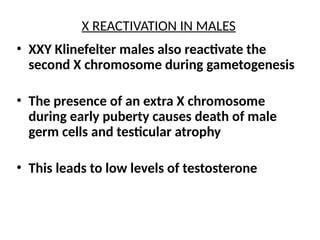 Comprehensive Overview of X Chromosome Dosage Compensation and ...