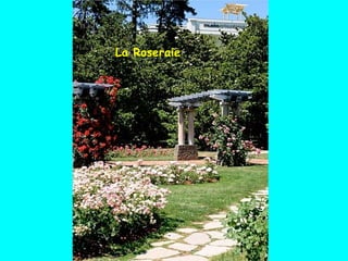 La Roseraie 