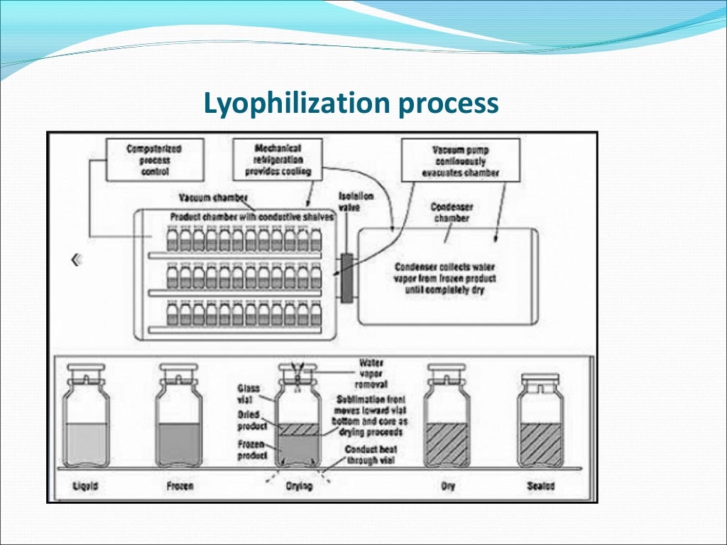 Lyophilization