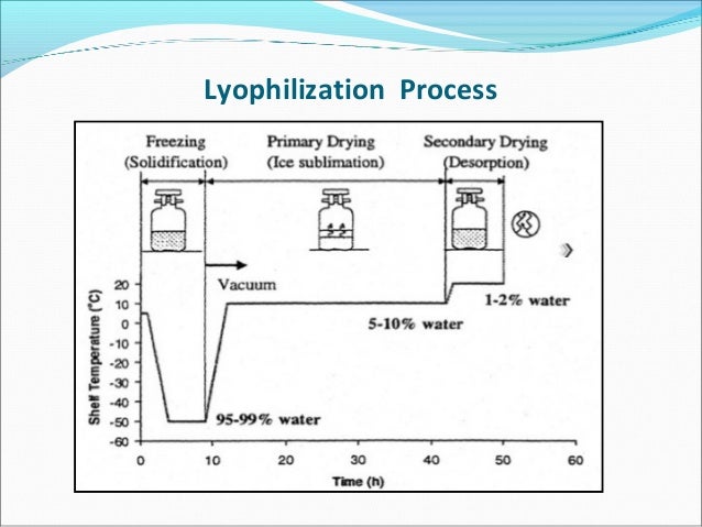 Lyophilization process in pharmaceutical industry