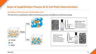Steps of Lyophilization Process & its End Point Determination
14
08-01-2023
Correlation of Freezing rate Vs Sublimation rate:-
The rate of ice crystallization define the freezing process and efficiency of primary drying.
 