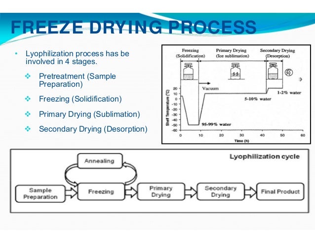 Lyophilization Graph What Is The Final Phase Of Lyophilization? – LMKTZU