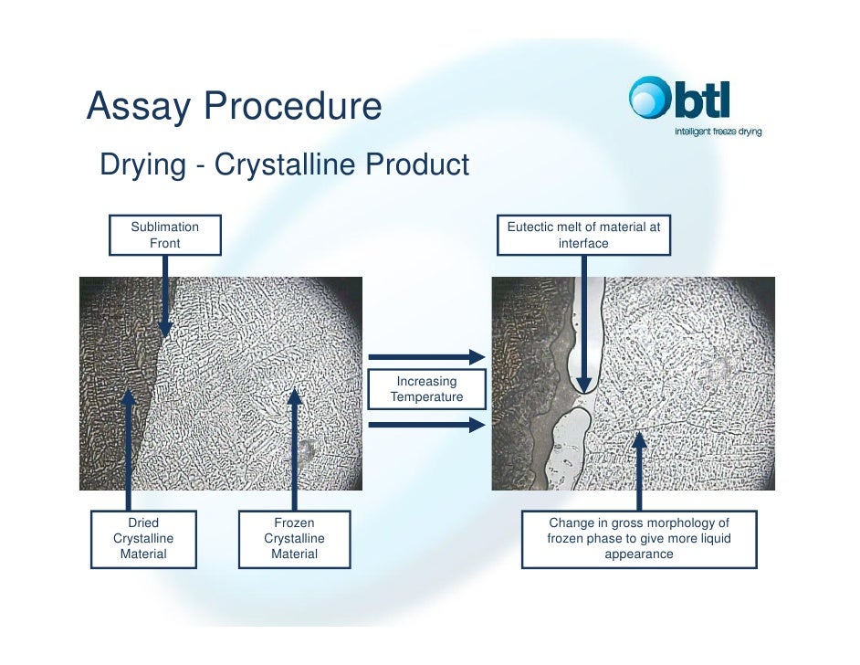 Lyostat3 Freeze Drying Microscopy
