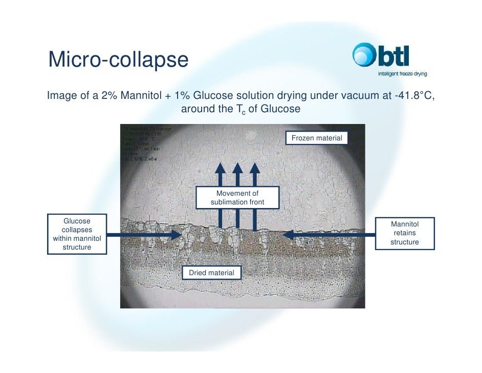 Lyostat3 Freeze Drying Microscopy