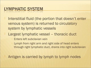  Interstitial fluid (the portion that doesn’t enter
venous system) is returned to circulatory
system by lymphatic vessels
 Largest lymphatic vessel – thoracic duct
○ Enters left subclavian vein
○ Lymph from right arm and right side of head enters
through right lymphatic duct, drains into right subclavian
 Antigen is carried by lymph to lymph nodes
 