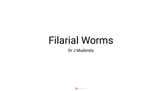 Filarial Worms
Dr J Mudenda
 