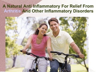 A Natural Anti Inflammatory For Relief From  Arthritis  And Other Inflammatory Disorders 