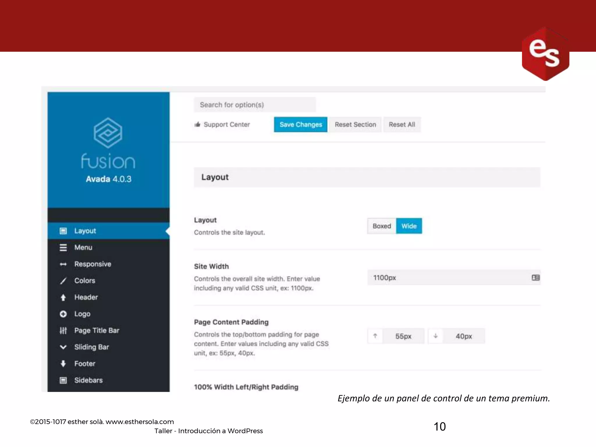 ©2015-1017 esther solà. www.esthersola.com
Taller - Introducción a WordPress
Ejemplo de un panel de control de un tema premium.
10
 