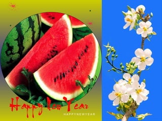 H A P P Y N E W Y E A R 