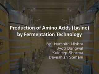 Production of Amino Acids (Lysine)
by Fermentation Technology
By: Harshita Mishra
Jyoti Dangwal
Kuldeep Sharma
Devashish Somani
 