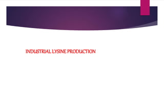 INDUSTRIALLYSINE PRODUCTION
 