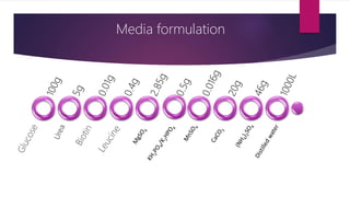 Media formulation
 
