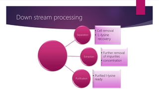 Down stream processing
Separation
• Cell removal
• L-lysine
recovery
Extraction
• Further removal
of impurities
• concentration
Purification
• Purified l-lysine
ready
•.
 