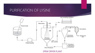 PURIFICATION OF LYSINE
SPRAY DRYER PLANT
 