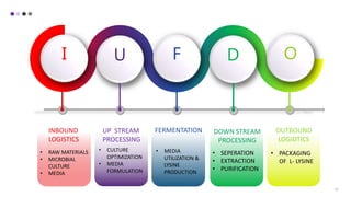 10
I U F D O
INBOUND
LOGISTICS
UP STREAM
PROCESSING
FERMENTATION DOWN STREAM
PROCESSING
OUTBOUND
LOGIDTICS
• RAW MATERIALS
• MICROBIAL
CULTURE
• MEDIA
• CULTURE
OPTIMIZATION
• MEDIA
FORMULATION
• MEDIA
UTILIZATION &
LYSINE
PRODUCTION
• SEPERATION
• EXTRACTION
• PURIFICATION
• PACKAGING
OF L- LYSINE
 