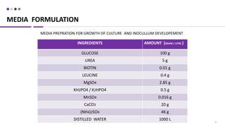 15
MEDIA FORMULATION
INGREDIENTS AMOUNT (GRAM / LITRE )
GLUCOSE 100 g
UREA 5 g
BIOTIN 0.01 g
LEUCINE 0.4 g
MgSO4 2.85 g
KH2PO4 / K2HPO4 0.5 g
MnSO4 0.016 g
CaCO3 20 g
(NH4)2SO4 46 g
DISTILLED WATER 1000 L
MEDIA PREPRATION FOR GROWTH OF CULTURE AND INOCULLUM DEVELOPEMENT
 