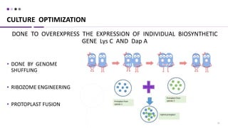 16
• DONE BY GENOME
SHUFFLING
• RIBOZOME ENGINEERING
• PROTOPLAST FUSION
CULTURE OPTIMIZATION
DONE TO OVEREXPRESS THE EXPRESSION OF INDIVIDUAL BIOSYNTHETIC
GENE Lys C AND Dap A
 