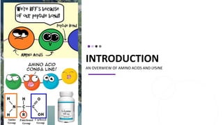 INTRODUCTION
AN OVERWIEW OF AMINO ACIDS AND LYSINE
 