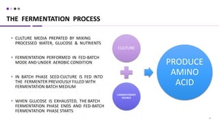 20
• CULTURE MEDIA PREPATED BY MIXING
PROCESSED WATER, GLUCOSE & NUTRIENTS
• FERMENTATION PERFORMED IN FED-BATCH
MODE AND UNDER AEROBIC CONDITION
• IN BATCH PHASE SEED CULTURE IS FED INTO
THE FERMENTER PREVIOUSLY FILLED WITH
FERMENTATION BATCH MEDIUM
• WHEN GLUCOSE IS EXHAUSTED, THE BATCH
FERMENTATION PHASE ENDS AND FED-BATCH
FERMENTATION PHASE STARTS
THE FERMENTATION PROCESS
CULTURE
CARBOHYDRATE
SOURCE
PRODUCE
AMINO
ACID
 