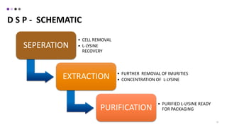22
SEPERATION
• CELL REMOVAL
• L-LYSINE
RECOVERY
EXTRACTION • FURTHER REMOVAL OF IMURITIES
• CONCENTRATION OF L-LYSINE
PURIFICATION
• PURIFIED L-LYSINE READY
FOR PACKAGING
D S P - SCHEMATIC
 