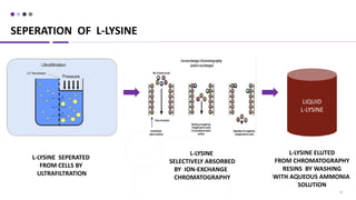 SEPERATION OF L-LYSINE
23
LIQUID
L-LYSINE
L-LYSINE SEPERATED
FROM CELLS BY
ULTRAFILTRATION
L-LYSINE
SELECTIVELY ABSORBED
BY ION-EXCHANGE
CHROMATOGRAPHY
L-LYSINE ELUTED
FROM CHROMATOGRAPHY
RESINS BY WASHING
WITH AQUEOUS AMMONIA
SOLUTION
 
