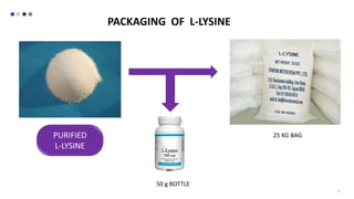 27
PACKAGING OF L-LYSINE
25 KG BAG
50 g BOTTLE
PURIFIED
L-LYSINE
 