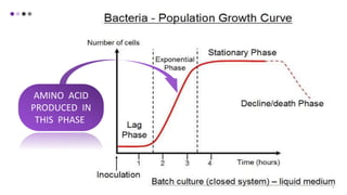 4
AMINO ACID
PRODUCED IN
THIS PHASE
 