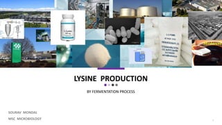 LYSINE PRODUCTION
BY FERMENTATION PROCESS
1
SOURAV MONDAL
MSC MICROBIOLOGY
 