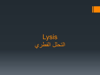 Lysis
‫الفطري‬ ‫التحلل‬
 