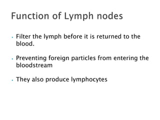 ⦁ Filter the lymph before it is returned to the
blood.
⦁ Preventing foreign particles from entering the
bloodstream
⦁ They also produce lymphocytes
 