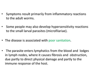 • Symptoms result primarily from inflammatory reactions
to the adult worms.
• Some people may also develop hypersensitivity reactions
to the small larval parasites (microfilariae).
• The disease is associated with poor sanitation.
• The parasite enters lymphatics from the blood and lodges
in lymph nodes, where it causes fibrosis and obstruction,
due partly to direct physical damage and partly to the
immune response of the host.
 