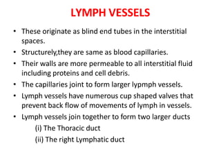 LYMPH VESSELS
• These originate as blind end tubes in the interstitial
spaces.
• Structurely,they are same as blood capillaries.
• Their walls are more permeable to all interstitial fluid
including proteins and cell debris.
• The capillaries joint to form larger lypmph vessels.
• Lymph vessels have numerous cup shaped valves that
prevent back flow of movements of lymph in vessels.
• Lymph vessels join together to form two larger ducts
(i) The Thoracic duct
(ii) The right Lymphatic duct
 
