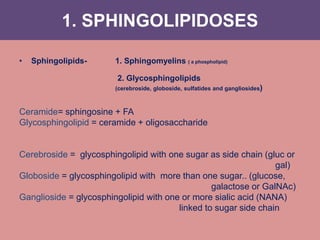 1. SPHINGOLIPIDOSES
• Sphingolipids- 1. Sphingomyelins ( a phospholipid)
2. Glycosphingolipids
(cerebroside, globoside, sulfatides and gangliosides)
Ceramide= sphingosine + FA
Glycosphingolipid = ceramide + oligosaccharide
Cerebroside = glycosphingolipid with one sugar as side chain (gluc or
gal)
Globoside = glycosphingolipid with more than one sugar.. (glucose,
galactose or GalNAc)
Ganglioside = glycosphingolipid with one or more sialic acid (NANA)
linked to sugar side chain
 