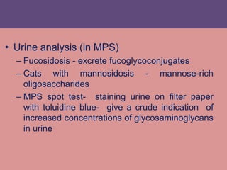 • Urine analysis (in MPS)
– Fucosidosis - excrete fucoglycoconjugates
– Cats with mannosidosis - mannose-rich
oligosaccharides
– MPS spot test- staining urine on filter paper
with toluidine blue- give a crude indication of
increased concentrations of glycosaminoglycans
in urine
 