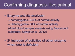 Confirming diagnosis- live animal
• Enzyme activity analysis-
– homozygotes- 0-5% of normal activity
– Heterzygotes- 50% of normal activity
(dried blood sample analysis using fluorescent
substrate; Sewell et.al., 2012)
• 2o increase of activities of other enzyme
when one is deficient
 