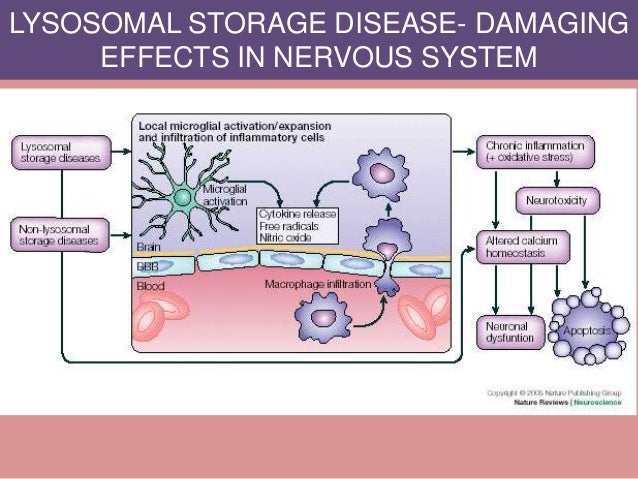 Lysosomal storage diseases