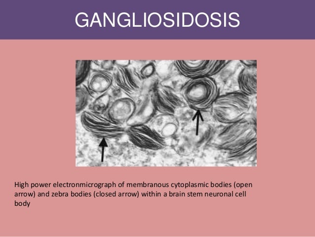 Lysosomal storage diseases