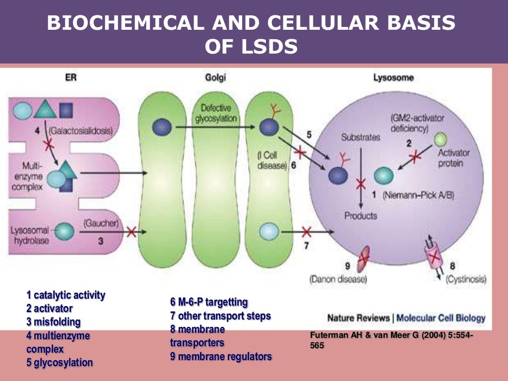 Lysosomal storage diseases