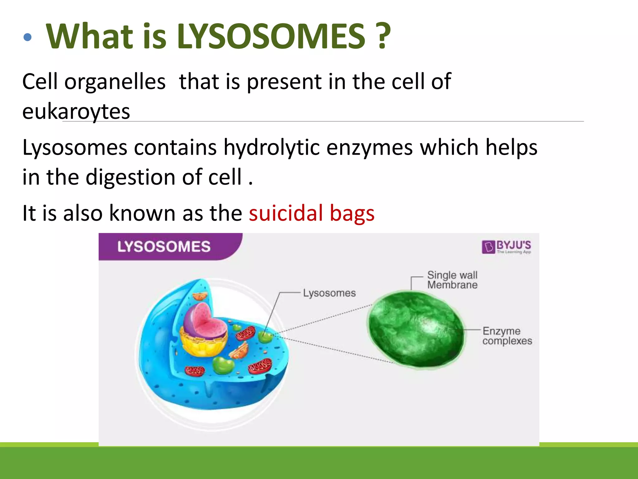Lysosomal Storage Diseases.pptx