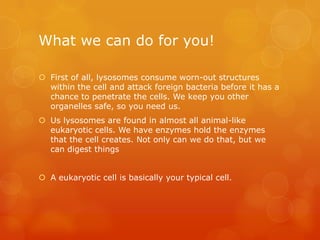 What we can do for you!First of all, lysosomes consume worn-out structures within the cell and attack foreign bacteria before it has a chance to penetrate the cells. We keep you other organelles safe, so you need us. Us lysosomes are found in almost all animal-like eukaryotic cells. We have enzymes hold the enzymes that the cell creates. Not only can we do that, but we can digest thingsA eukaryotic cell is basically your typical cell. 