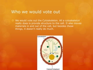 Who we would vote outWe would vote out the Cytoskeleton. All a cytoskeleton really does is provide structure to the cell. It also moves materials in and out of the cell, but besides these things, it doesn’t really do much. 