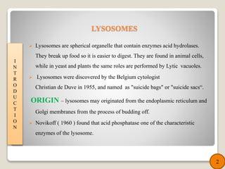  Lysosomes are spherical organelle that contain enzymes acid hydrolases.
They break up food so it is easier to digest. They are found in animal cells,
while in yeast and plants the same roles are performed by Lytic vacuoles.
 Lysosomes were discovered by the Belgium cytologist
Christian de Duve in 1955, and named as "suicide bags" or "suicide sacs“.
ORIGIN – lysosomes may originated from the endoplasmic reticulum and
Golgi membranes from the process of budding off.
 Novikoff ( 1960 ) found that acid phosphatase one of the characteristic
enzymes of the lysosome.
I
N
T
R
O
D
U
C
T
I
O
N
2
LYSOSOMES
 