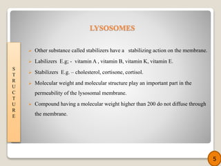  Other substance called stabilizers have a stabilizing action on the membrane.
 Labilizers E.g; - vitamin A , vitamin B, vitamin K, vitamin E.
 Stabilizers E.g. – cholesterol, cortisone, cortisol.
 Molecular weight and molecular structure play an important part in the
permeability of the lysosomal membrane.
 Compound having a molecular weight higher than 200 do not diffuse through
the membrane.
S
T
R
U
C
T
U
R
E
5
LYSOSOMES
 