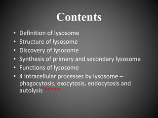 Contents
• Definition of lysosome
• Structure of lysosome
• Discovery of lysosome
• Synthesis of primary and secondary lysosome
• Functions of lysosome
• 4 intracellular processes by lysosome –
phagocytosis, exocytosis, endocytosis and
autolysis *****
 