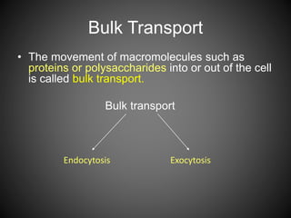 Bulk Transport
• The movement of macromolecules such as
proteins or polysaccharides into or out of the cell
is called bulk transport.
Bulk transport
Endocytosis Exocytosis
 