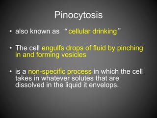 Pinocytosis
• also known as “cellular drinking”
• The cell engulfs drops of fluid by pinching
in and forming vesicles
• is a non-specific process in which the cell
takes in whatever solutes that are
dissolved in the liquid it envelops.
 